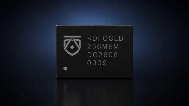 KDFOSLB256ME 产品照片