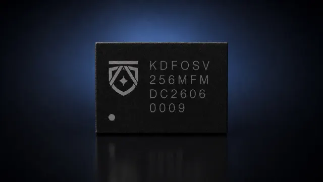 KDFOSV256MF 产品照片